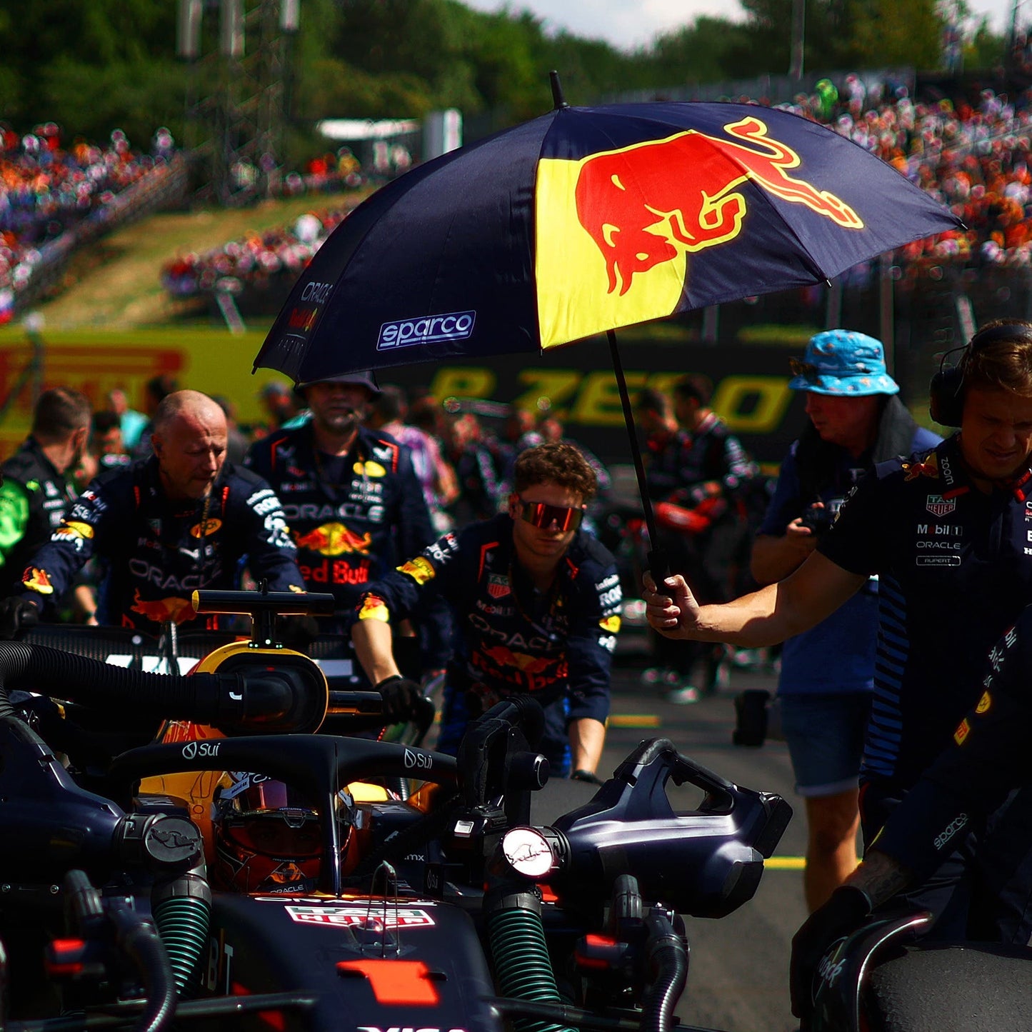 UMBRELLA REDBULL RACING
