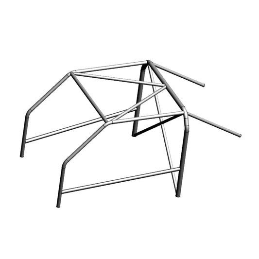 ROLL CAGE FORD FIESTA